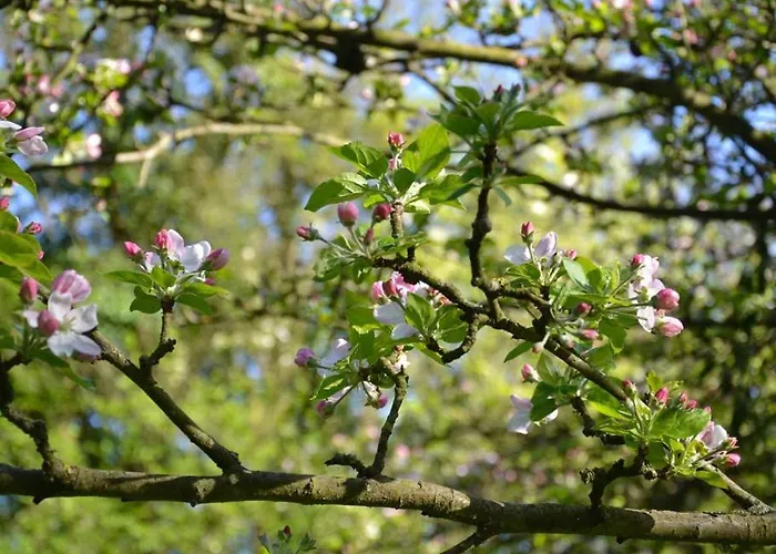 Vendégház La Bihoree